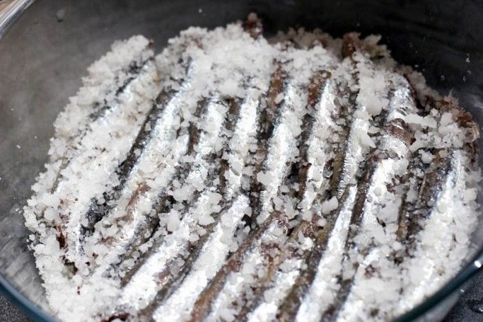 Anchoas de Santoña, cómo se hacen