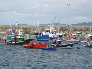 La cuota del atún rojo de Guipúzcoa ha sido ya vendida