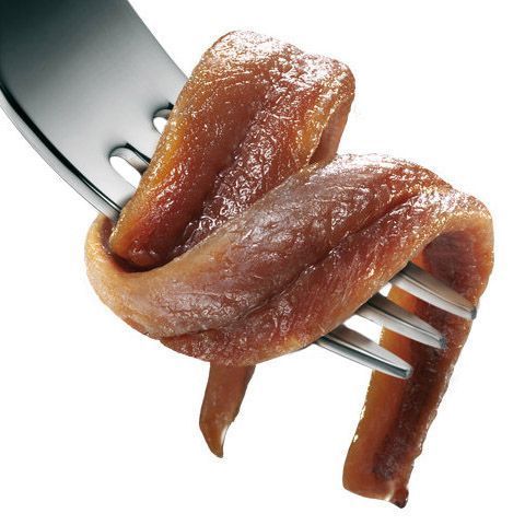 Las mejores anchoas del mar Cantábrico