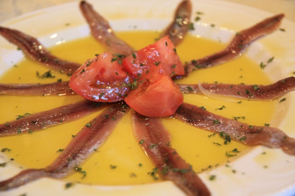 anchoas del cantábrico