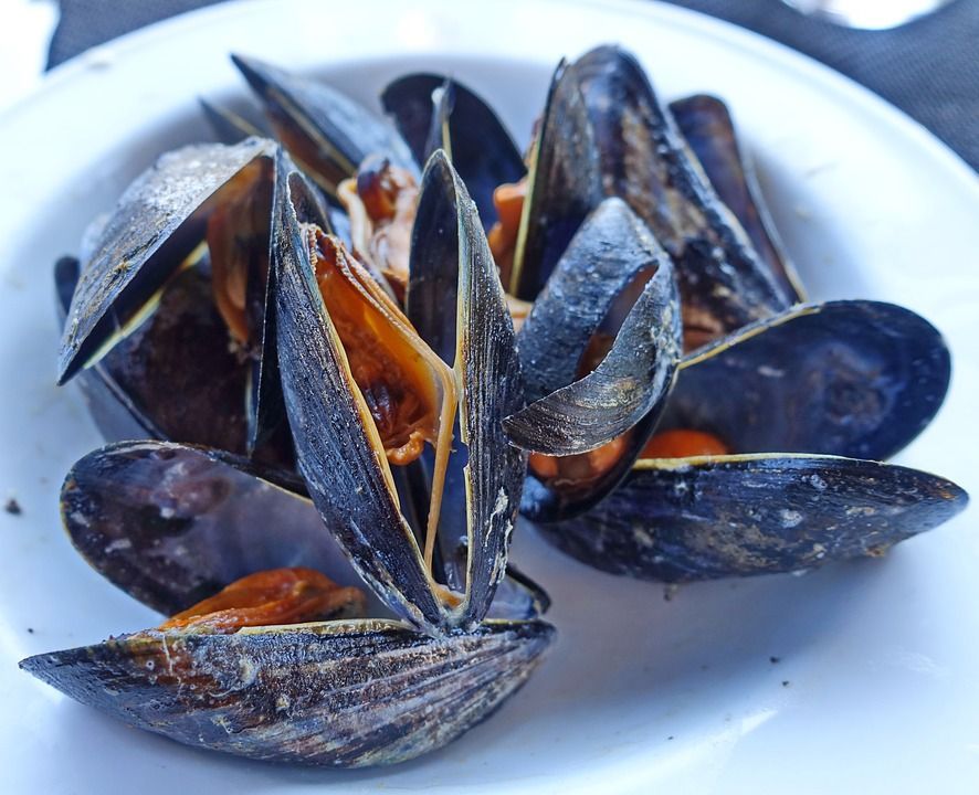 Los mejores mejillones