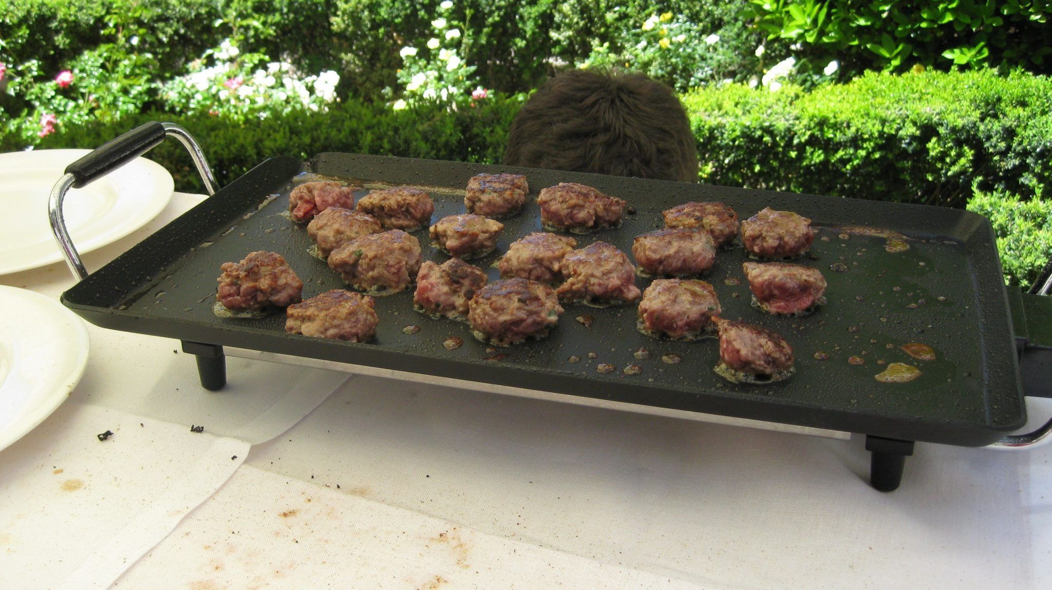 ganso iberico de la dehesa