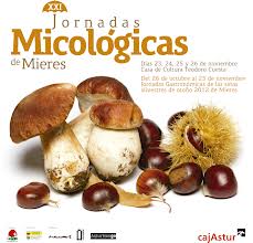Jornadas Gastronómicas de las Setas Mieres Jornadas Gastronómicas de las Setas Mieres
