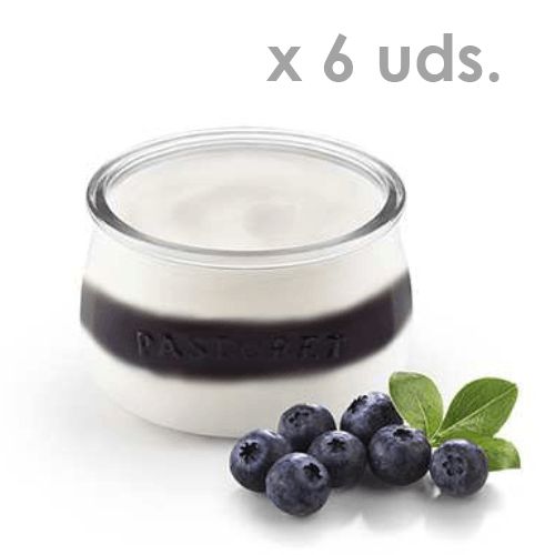 Comprar Yogurt Ecológico de Arándano
