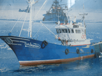 Captura de la anchoa de Santoña