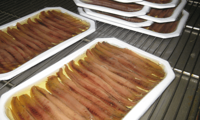 Cómo se hacen las anchoas de Santoña