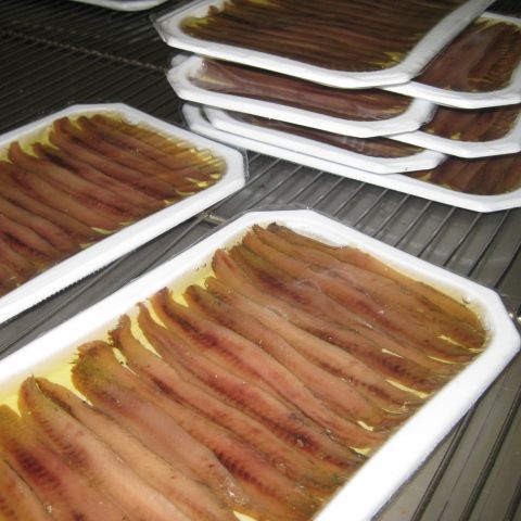 Cómo se elaboran las anchoas de Santoña