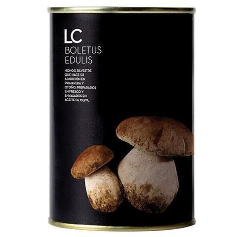 Boletus Edulis La Catedral de Navarra