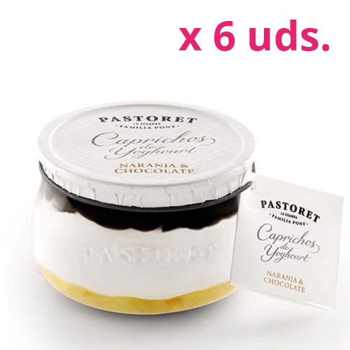 Chocolate and Orange Pastoret Yogurt Whims 6 units
