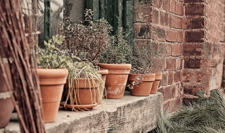 Cómo hacer un huerto en el balcón