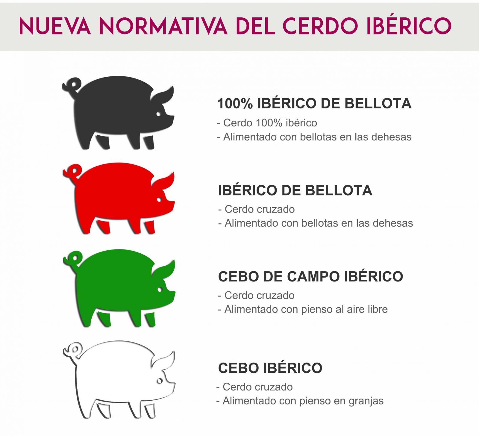 Nuevo etiquetado del jamón ibérico