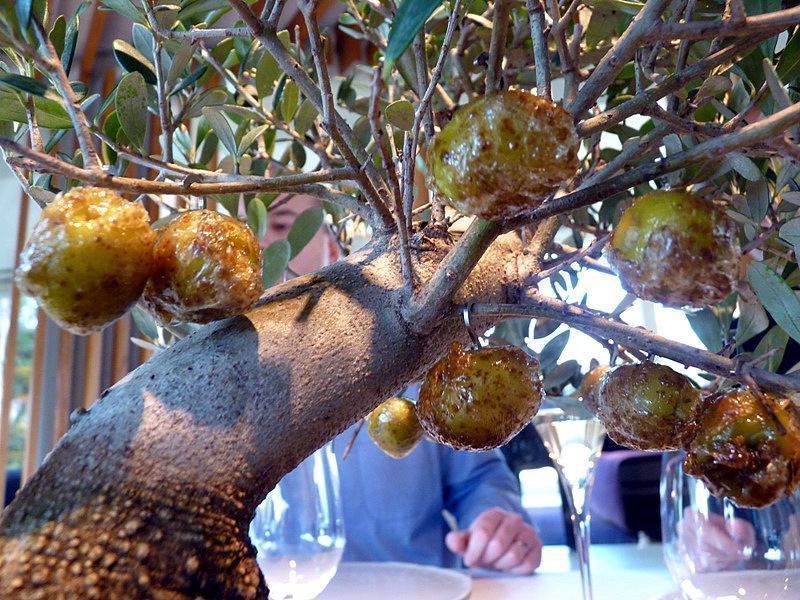 Celler de Can Roca, mejor restaurante del mundo