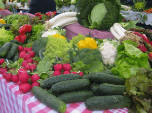 Alimentos en peligro de extinción