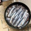 Anchois salés Ría de Santoña