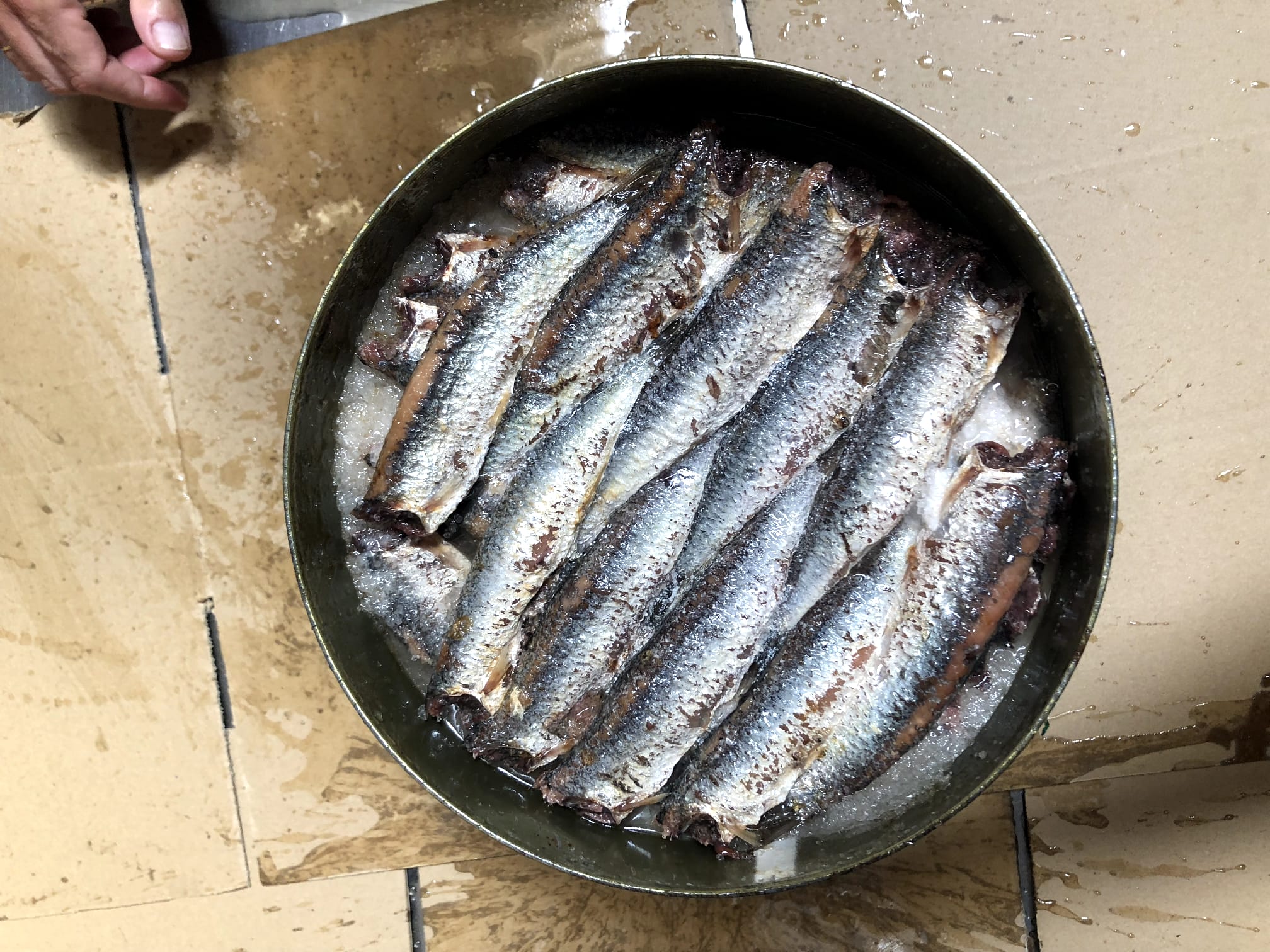 Anchois salés Ría de Santoña