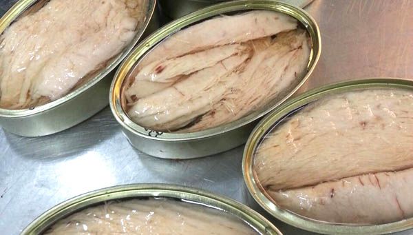 Cuál es la mejor conserva de bonito