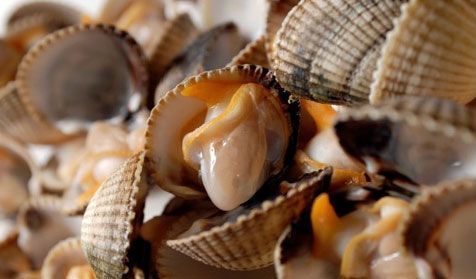 Es temporada de...berberecho, pulpo y zamburiña