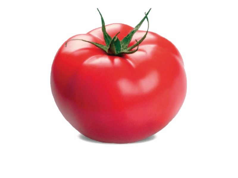 tomate