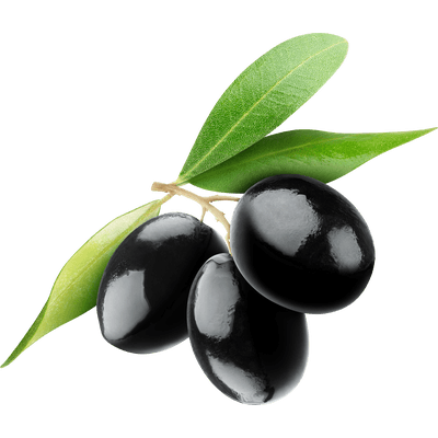 aceituna negra