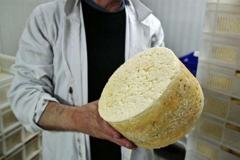 Todo sobre el queso Picón Bejes Tresviso