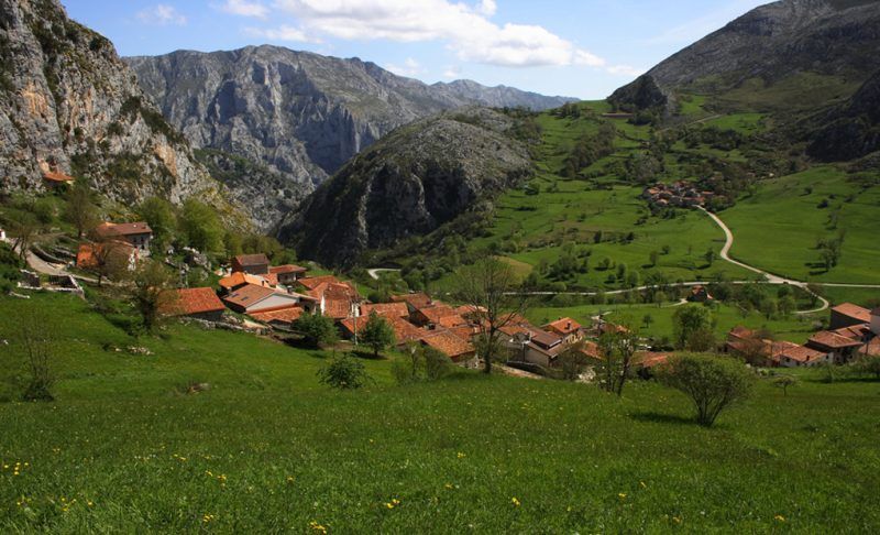Todo sobre el queso Picón Bejes Tresviso