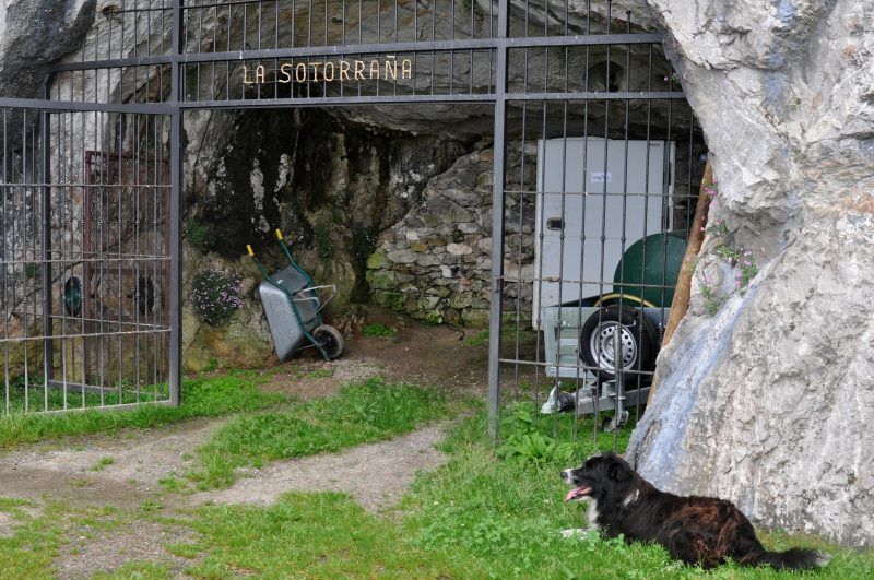 Mas que Picón... Quesería Alles