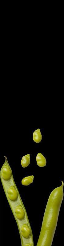 La historia de las habitas baby