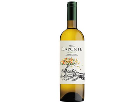 silva-daponte-godello